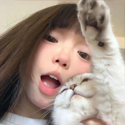 麻将放浪记